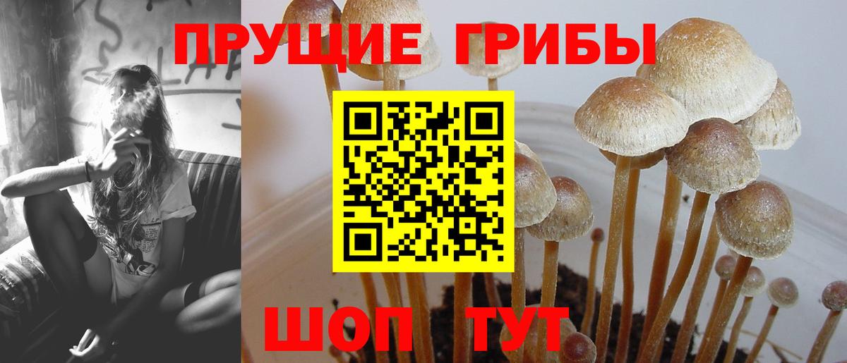 Пушкино  Псилоцибиновые грибы мухоморы  Вход с VPN 